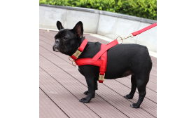 Kit harnais rouge pour chien avec collier et laisse assortis, léger, durable et long-lasting, look stylé et coordonné.