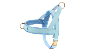 Kit harnais bleu clair pour chien avec collier et laisse assortis, léger, durable et long-lasting, accessoire tendance.