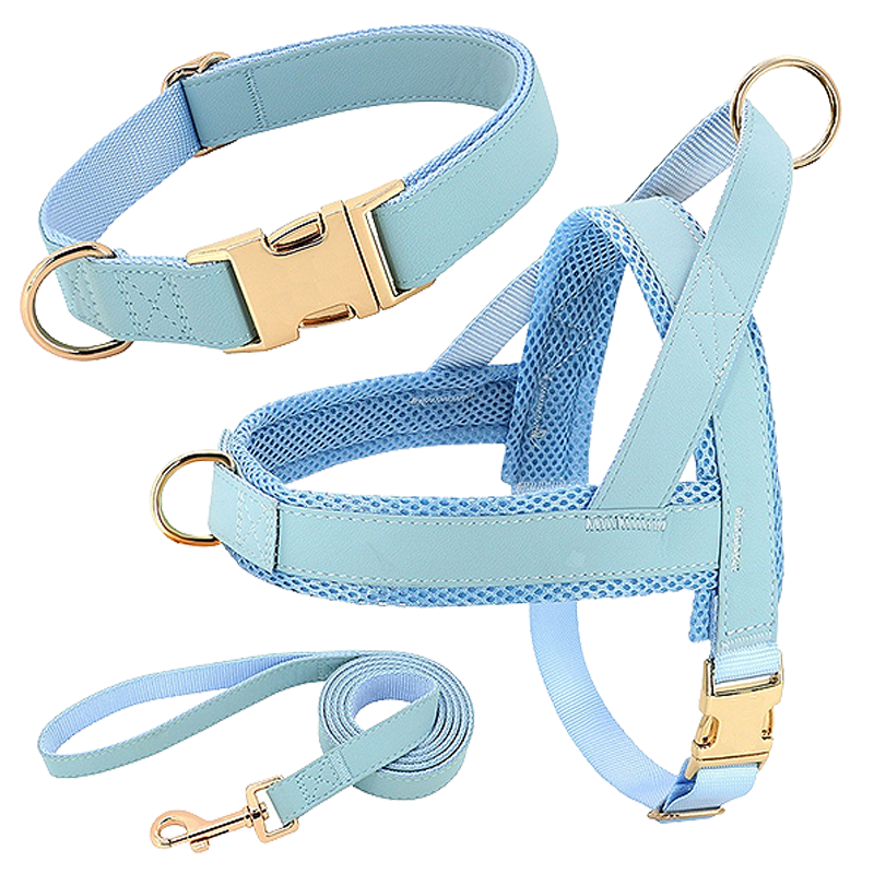 Ensemble avec Harnais, Collier et Laisse pour Chien Kit harnais bleu clair pour chien avec collier et laisse assortis, léger, boucles dorées et D-ring pour durabilité.