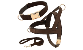 Kit harnais marron pour chien avec collier et laisse assortis, léger, boucles dorées et D-ring pour durabilité.