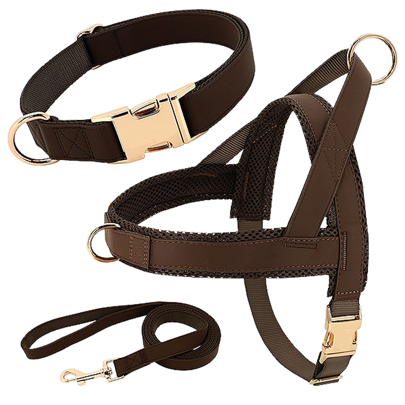 Ensemble avec Harnais, Collier et Laisse pour Chien Kit harnais marron pour chien avec collier et laisse assortis, léger, boucles dorées et D-ring pour durabilité.