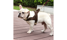 Kit harnais marron pour chien avec collier et laisse assortis, léger, durable et long-lasting, look stylé et coordonné.