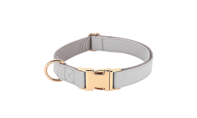 Kit harnais argenté pour chien avec collier et laisse assortis, léger, durable et confortable, ajustement sécurisé.