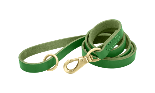 Laisse en cuir véritable vert pour chien, 150 cm, confortable, avec fermoir et anneau métalliques dorés pour durabilité.