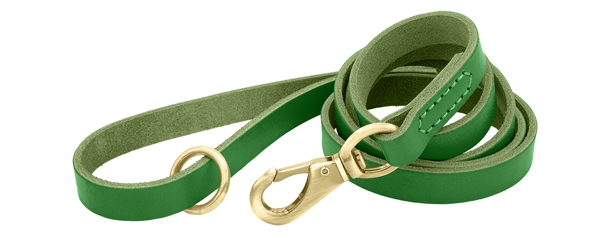 Laisse Luxe en Cuir Véritable pour Chien Laisse en cuir véritable vert pour chien, 150 cm, confortable, avec fermoir et anneau métalliques dorés pour durabilité.