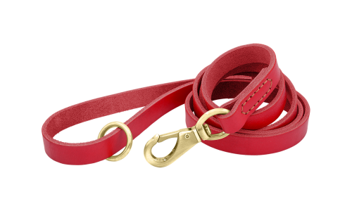 Laisse en cuir véritable rouge pour chien, 150 cm, confortable, avec fermoir et anneau métalliques dorés pour durabilité.