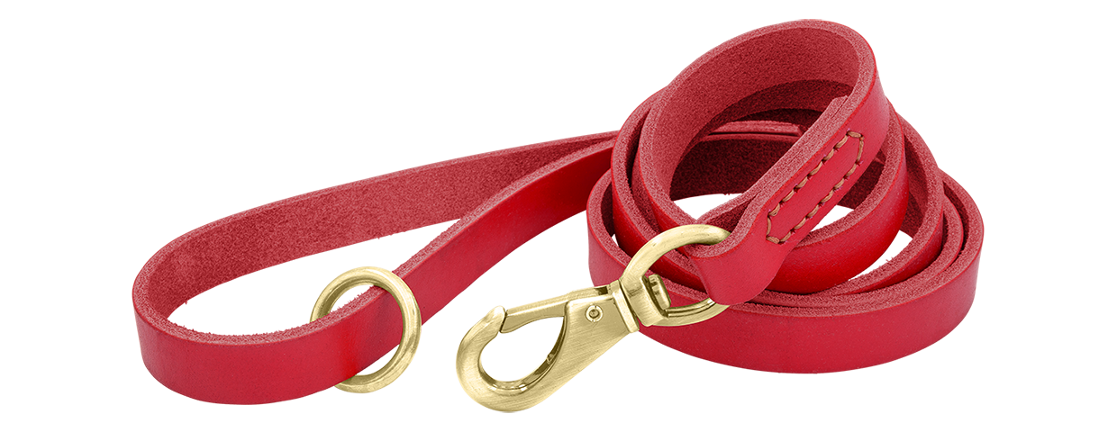 Laisse Luxe en Cuir Véritable pour Chien Laisse en cuir véritable rouge pour chien, 150 cm, confortable, avec fermoir et anneau métalliques dorés pour durabilité.