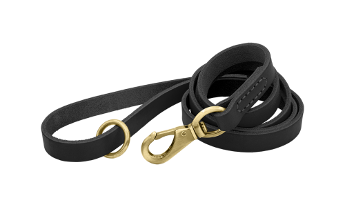 Laisse en cuir véritable noir pour chien, 150 cm, confortable, avec fermoir et anneau métalliques dorés pour durabilité.