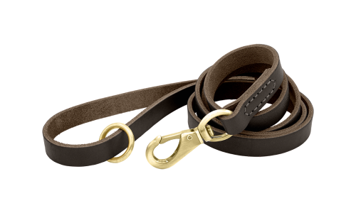 Laisse en cuir véritable marron pour chien, 150 cm, confortable, avec fermoir et anneau métalliques dorés pour durabilité.