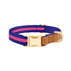 Collier chien bleu avec boucle métal dorée ajustable, 27-40 cm x 1,5 cm, avec anneau en D pour attacher la laisse.