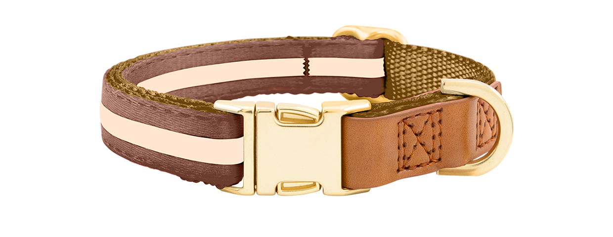 Collier pour Chien avec Boucle Dorée Collier chien marron avec boucle métal dorée ajustable, 27-40 cm x 1,5 cm, avec anneau en D pour attacher la laisse.