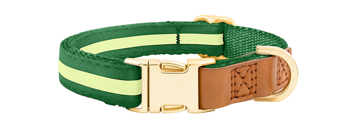 Collier pour Chien avec Boucle Dorée Collier chien vert avec boucle métal dorée ajustable, 27-40 cm x 1,5 cm, avec anneau en D pour attacher la laisse.