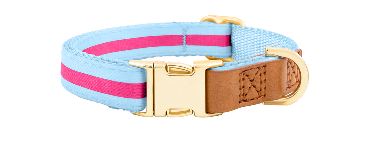 Collier pour Chien avec Boucle Dorée Collier chien bleu clair avec boucle métal dorée ajustable, 27-40 cm x 1,5 cm, avec anneau en D pour attacher la laisse.