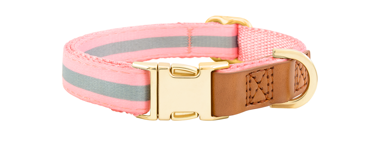 Collier pour Chien avec Boucle Dorée Collier chien rose avec boucle métal dorée ajustable, 27-40 cm x 1,5 cm, avec anneau en D pour attacher la laisse.