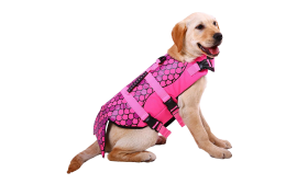 Gilet de sauvetage pour chien à thème sirène, sangles sécurisées, flottaison assurée. Convient à tous types de chiens.