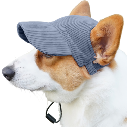 Corgi portant un chapeau de sport bleu respirant, léger, pour se protéger du soleil lors des sorties estivales.