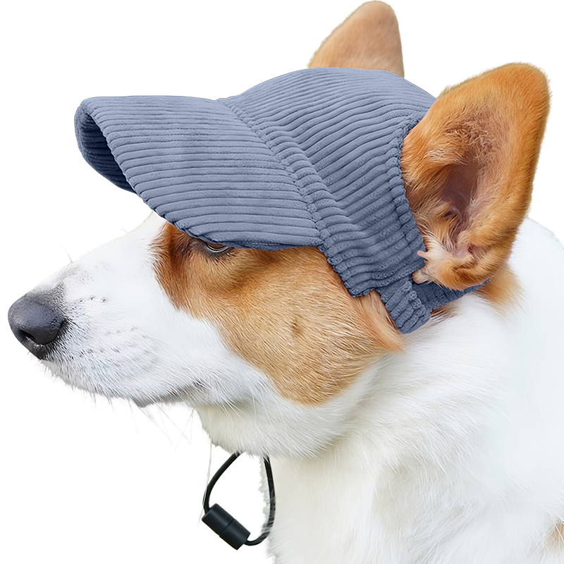 Casquette de Sport Respirante pour Chien pour l'Été Corgi portant un chapeau de sport bleu respirant, léger, pour se protéger du soleil lors des sorties estivales.