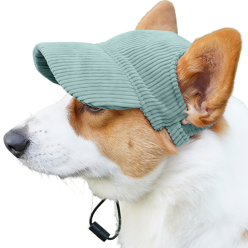 Casquette de Sport Respirante pour Chien pour l'Été Corgi portant un chapeau de sport vert respirant, léger, pour se protéger du soleil lors des sorties d'été.