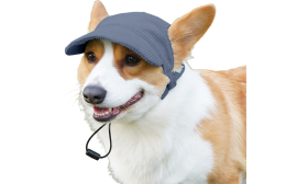 Corgi portant un chapeau de sport bleu respirant, léger, en toile douce et vraiment confortable pour l'été.