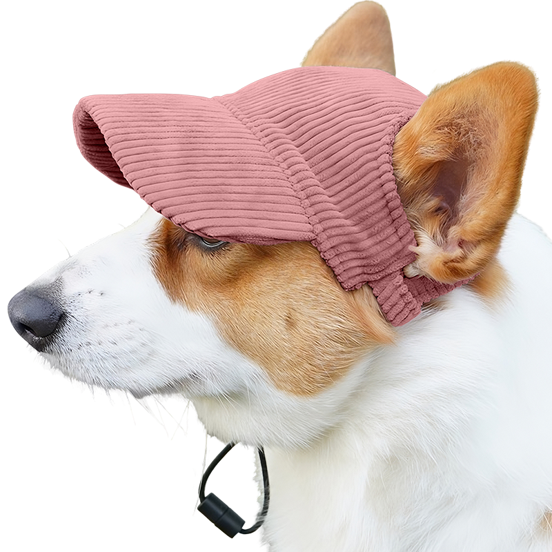 Casquette de Sport Respirante pour Chien pour l'Été Corgi portant un chapeau de sport rose clair respirant, léger, pour se protéger du soleil lors des sorties d'été.