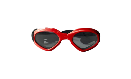 Lunettes de soleil rouges pour chien, protection UV, verres teintés, look stylé, idéales pour les aventures.