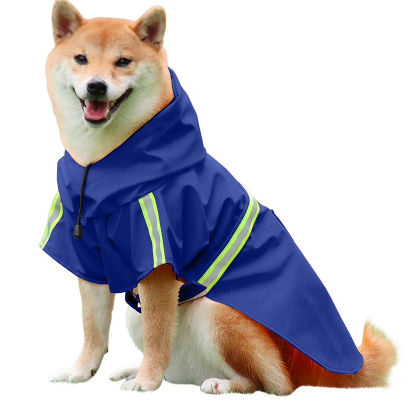 Imperméable pour Chien avec Bande Réfléchissante Shiba Inu dans un manteau imperméable bleu, bandes réfléchissantes, sangles faciles pour les promenades sous la pluie.