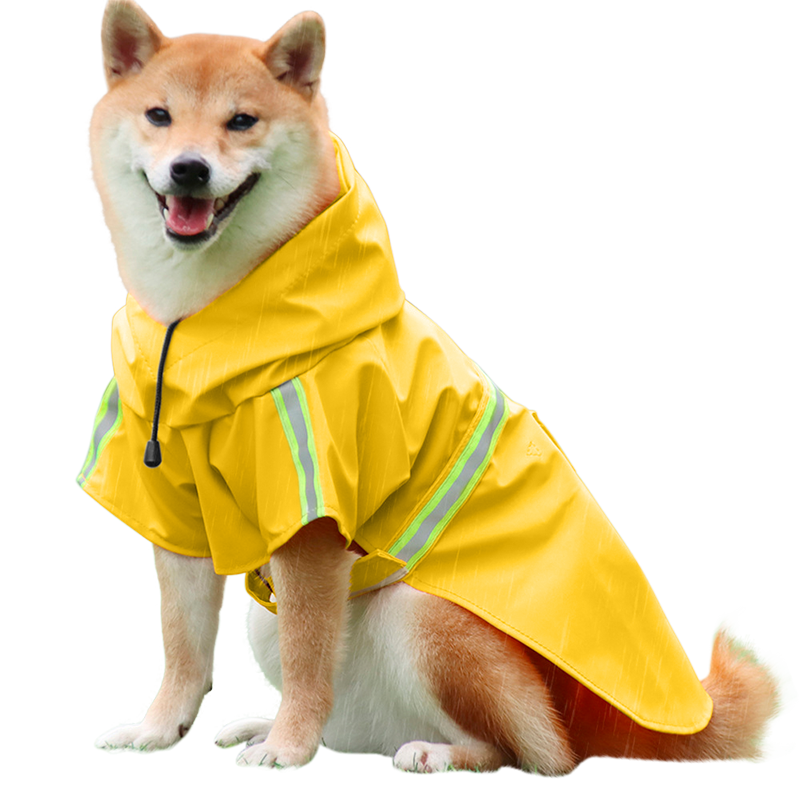 Imperméable pour Chien avec Bande Réfléchissante Shiba Inu dans un manteau imperméable jaune, bandes réfléchissantes, sangles faciles pour les promenades sous la pluie.