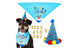 Ensemble d'anniversaire avec Bandana pour Chien Set d'anniversaire pour chien bleu avec bandana coloré "C'est mon anniversaire !", léger pour le confort du chien.