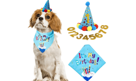 Ensemble d'anniversaire avec Bandana pour Chien Set d'anniversaire pour chien bleu avec bandana coloré "C'est mon anniversaire !", doux et durable.