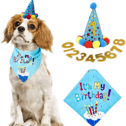 Set d'anniversaire pour chien bleu avec bandana coloré "C'est mon anniversaire !", doux et durable.