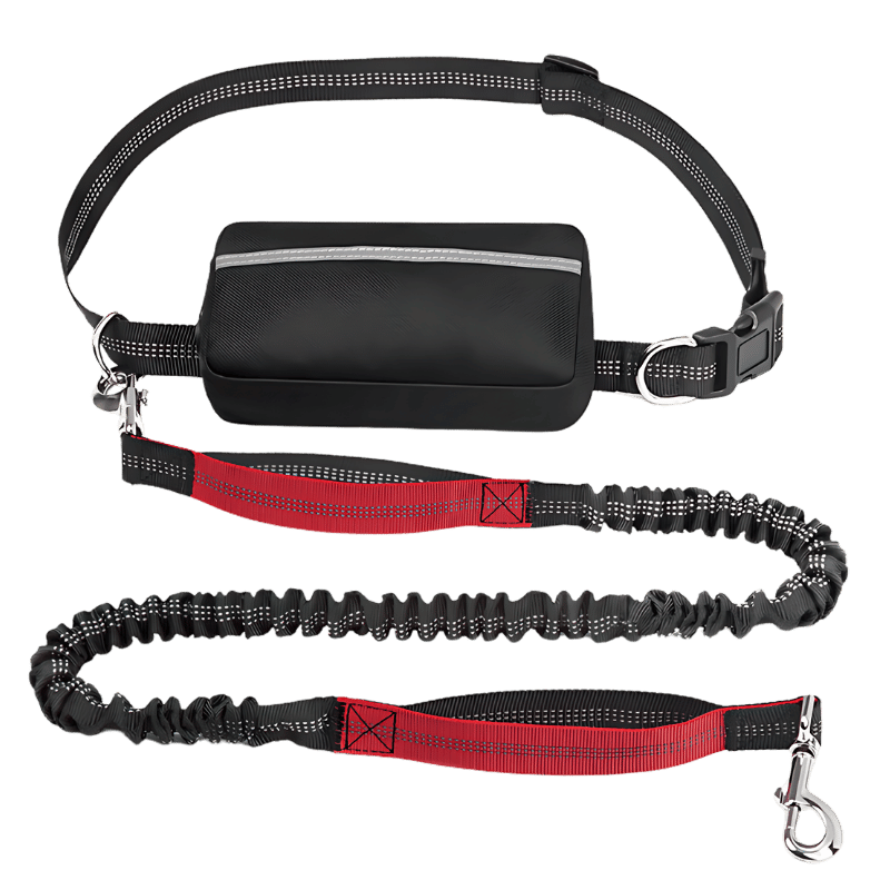 Laisse Mains Fibres pour Chien avec Ceinture Réglable et Pochette Laisse mains libres rouge pour chien, ceinture ajustable et pochette, de 27 à 48 pouces, idéale pour courir.