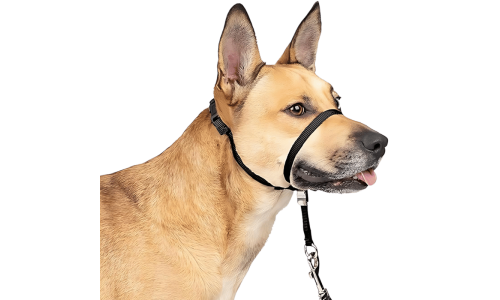 Collier de tête anti-traction noir pour chien avec sangle ajustable et boucle de nez rembourrée, taille petite.