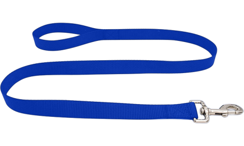 Laisse pour Chien Nylon Robuste