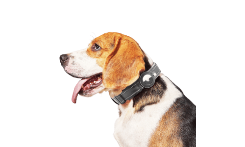Collier chien réfléchissant noir avec support Airtag, ajustable, nylon léger, protection étanchéité et durabilité.