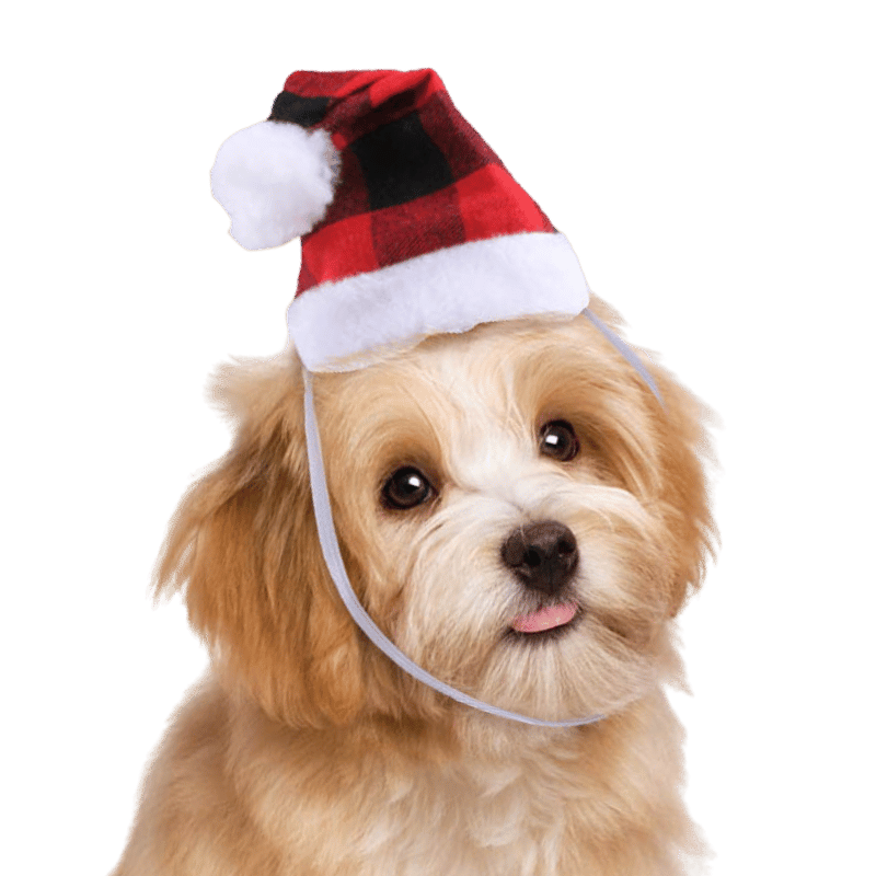 Bonnet de Père Noël pour Chiens et Chats