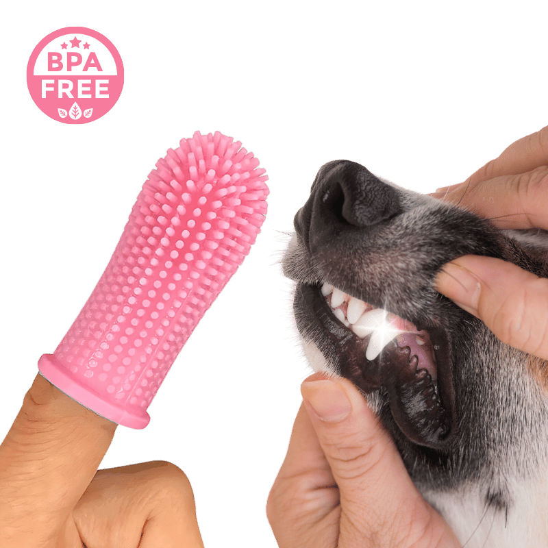 Brosse à Dents à Doigt en Silicone 360º pour Chiens
