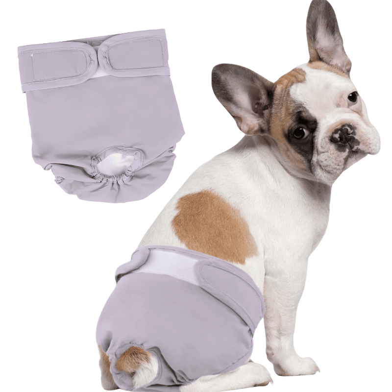 Couche Lavable de Qualité Supérieure pour Chiens - Femelles