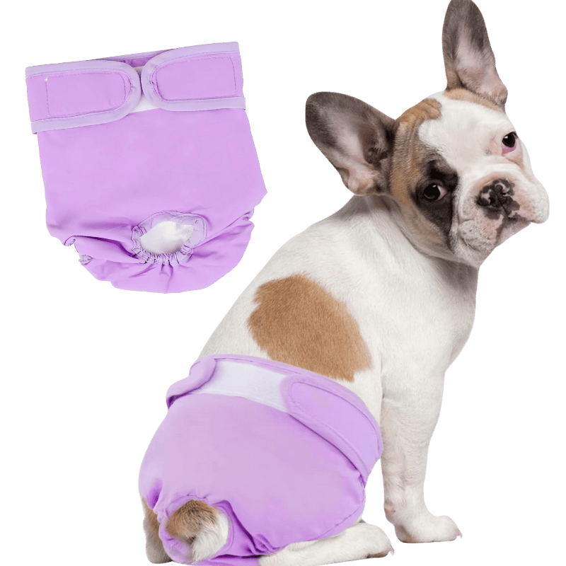 Couche Lavable de Qualité Supérieure pour Chiens - Femelles
