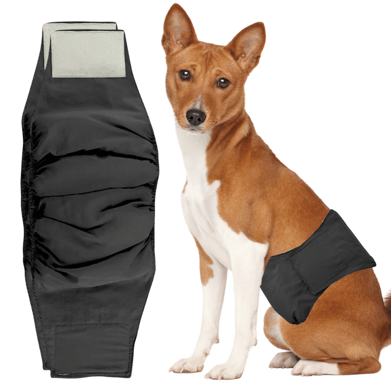 Couche Lavable de Première Qualité pour Chiens - Mâles
