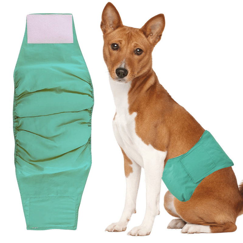 Couche Lavable de Première Qualité pour Chiens - Mâles