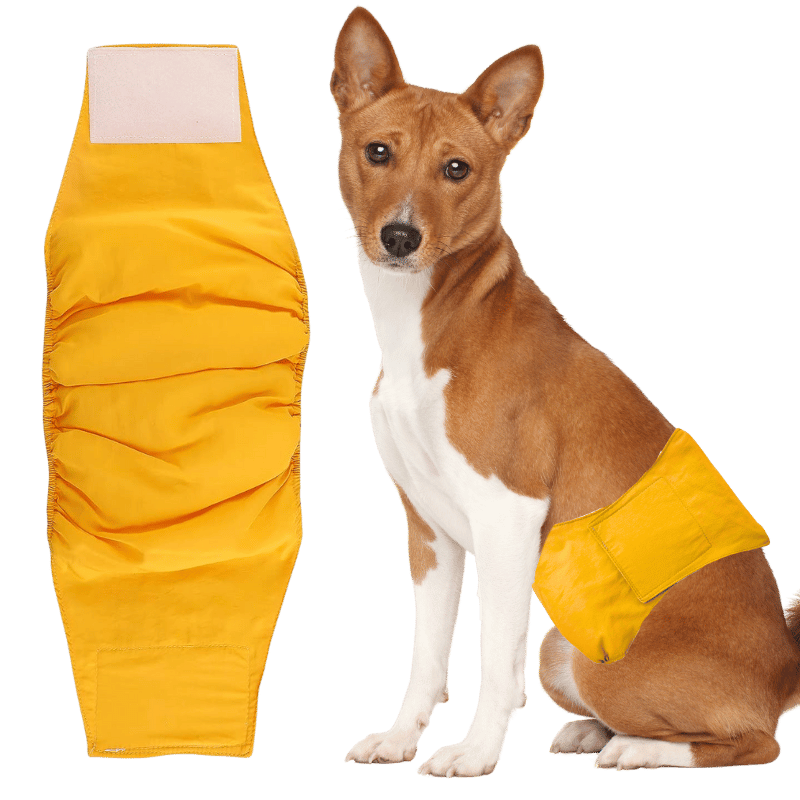 Couche Lavable de Première Qualité pour Chiens - Mâles