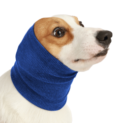 Snood pour Chien contre...
