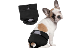 Couche Lavable de Qualité Supérieure pour Chiens - Femelles