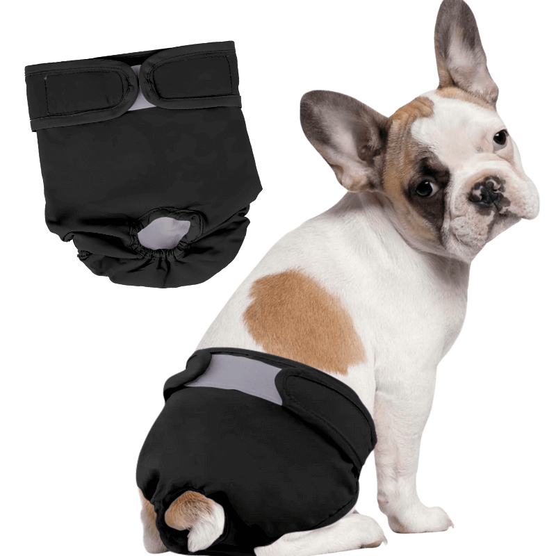 Couche Lavable de Qualité Supérieure pour Chiens - Femelles