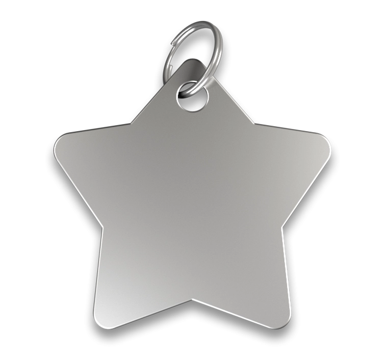 Médaille Chien Gravée Étoile Médaille chien étoile argentée, finition lisse, avec anneau en argent, personnalisable avec le nom du chien gravé.