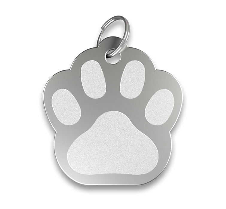 Médaille Chien Gravée Patte Médaille chien patte argentée, finition lisse, avec anneau en argent, personnalisable avec le nom du chien gravé.