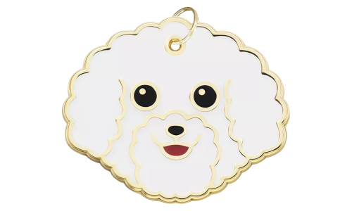 Médaille chien gravée en forme de tête de Bichon Frisé, expression souriante, contour doré, pour identification.
