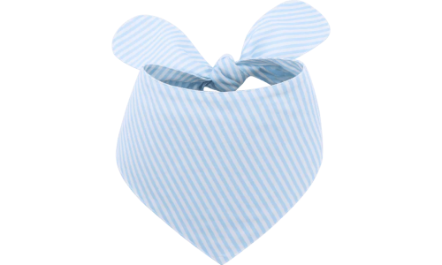 Bandana personnalisée rayée bleu clair et blanc pour chien, personnalisable avec nom brodé.