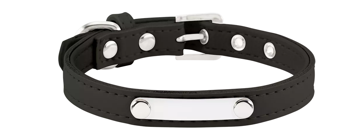 Collier pour Chien Gravé Classique Collier chien noir classique avec plaque ID intégrée pour gravure, 27-34 cm x 1,5 cm, durable et robuste.