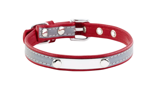 Collier chien réfléchissant violet avec plaque ID intégrée, 37-47 cm x 2,5 cm, personnalisable avec nom gravé.